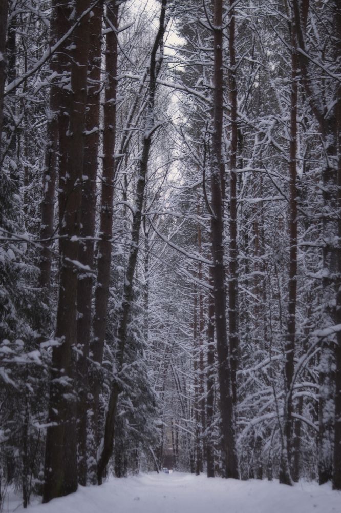 Photograph by Dina Garipova