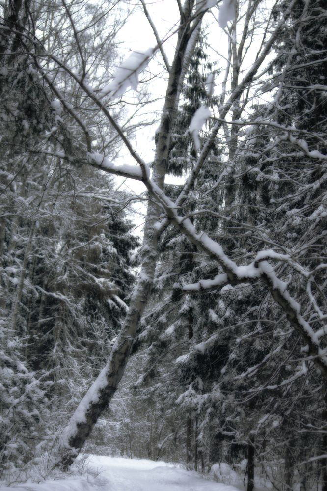 Photograph by Dina Garipova