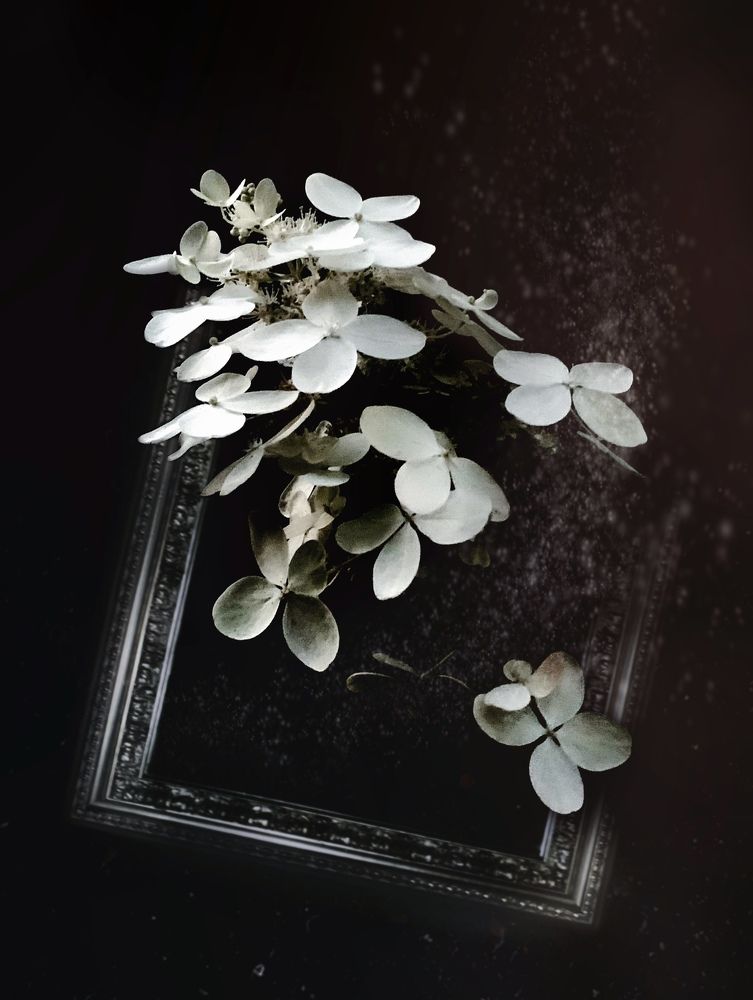 Photograph by Анна