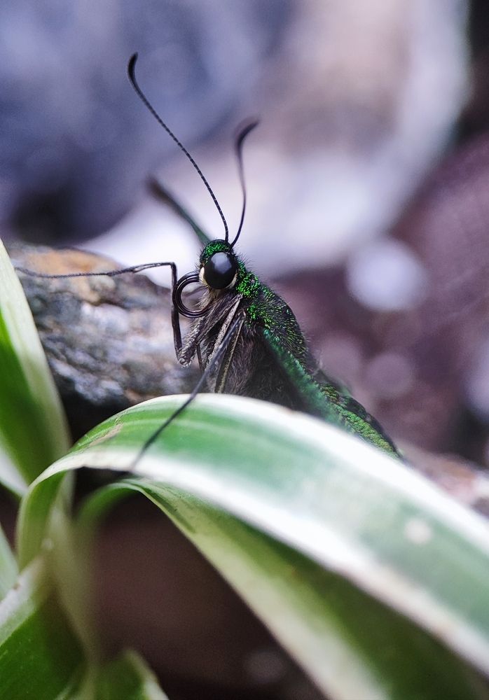 Photograph by Натали ДанКо