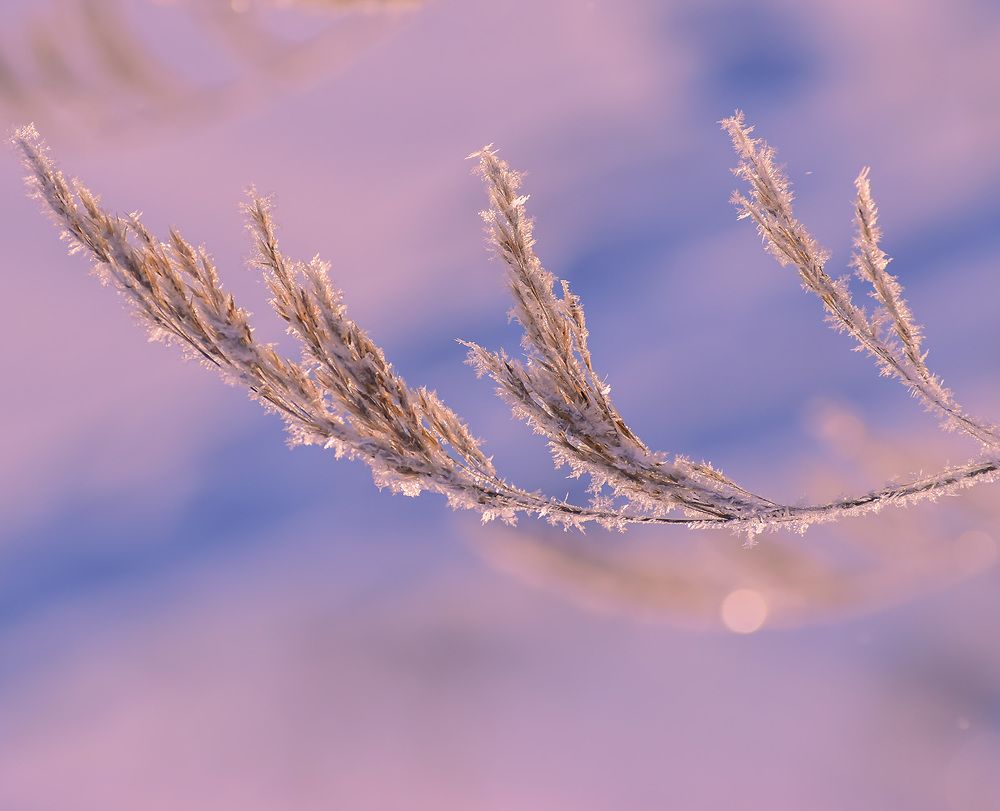 Ноябрьские зарисовки