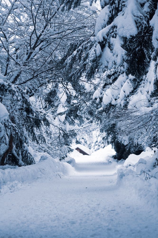 Photograph by Shaiban Alsamraie