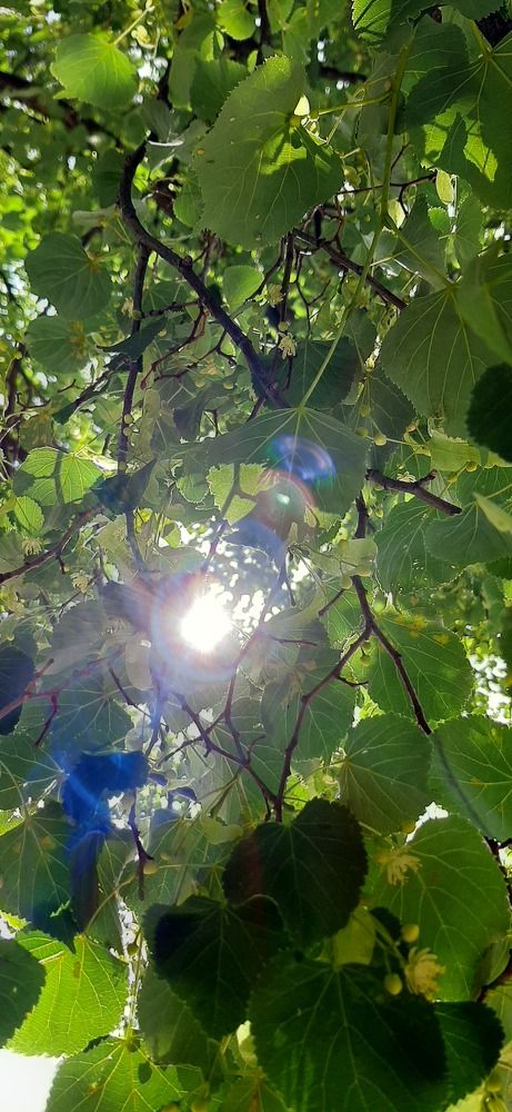 Photograph by Наталья