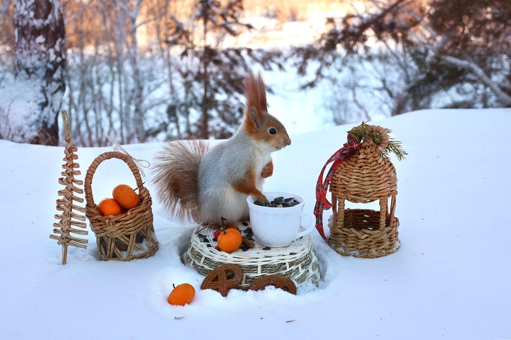 Photograph by Елена Гасенко