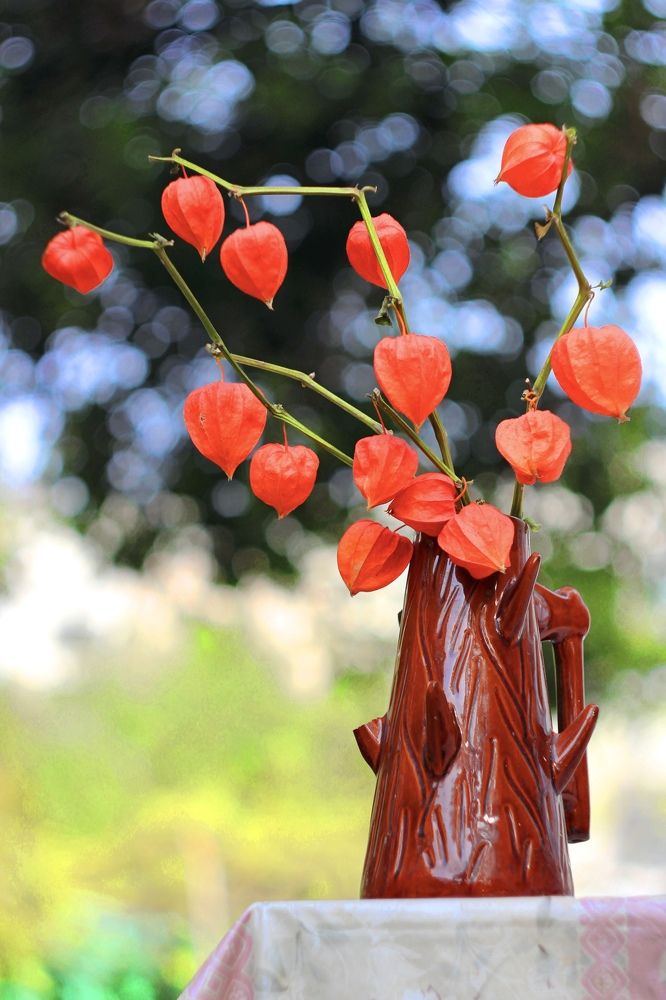 Photograph by Александр