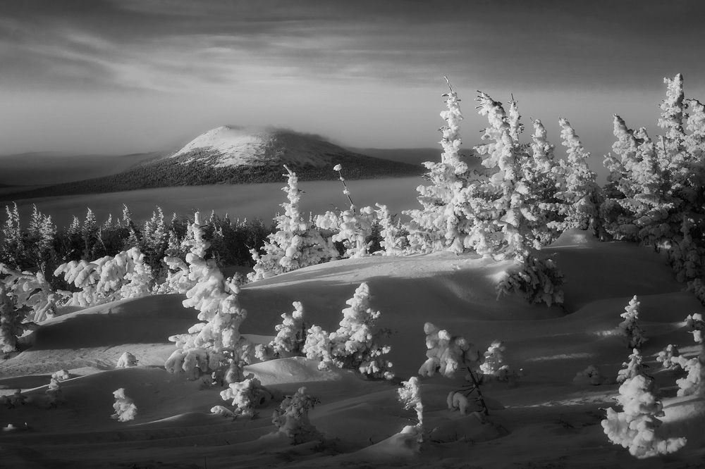 В сиянии утра...