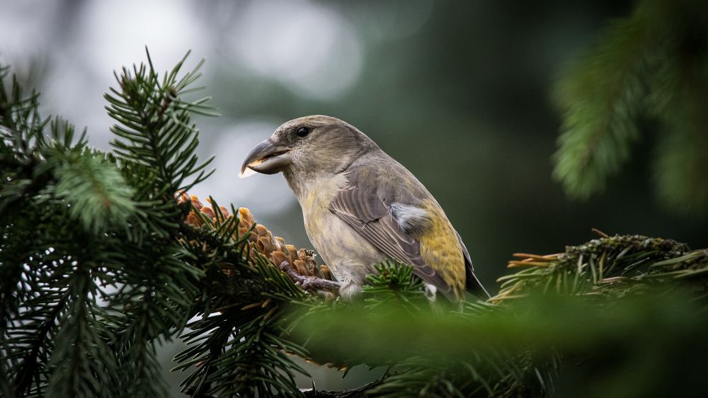 Photograph by Sofia Belyaeva