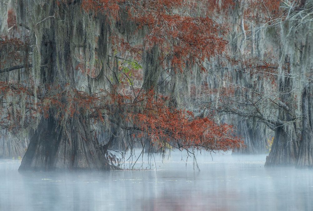 Photograph by suk eun kim