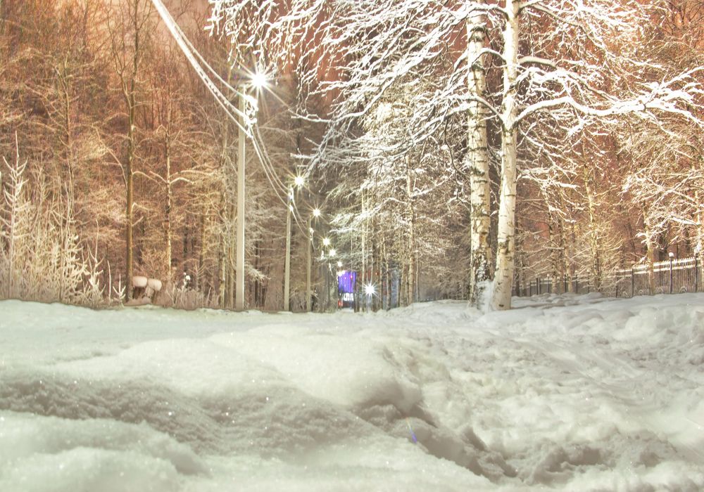 Photograph by Сергей