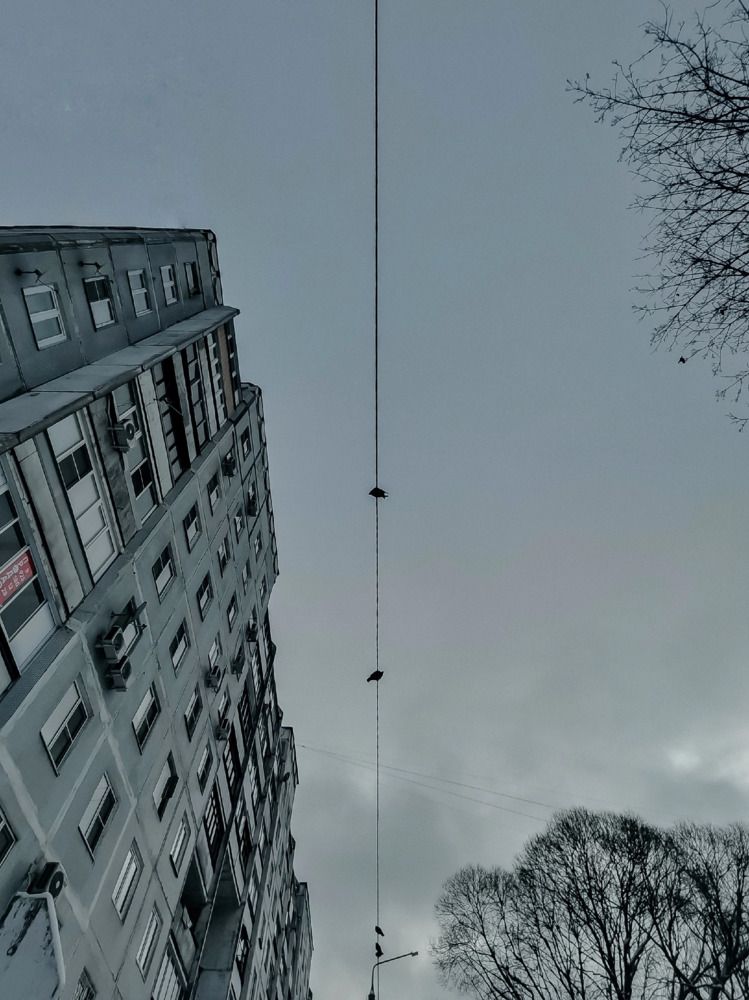 Photograph by Ольга Лукина