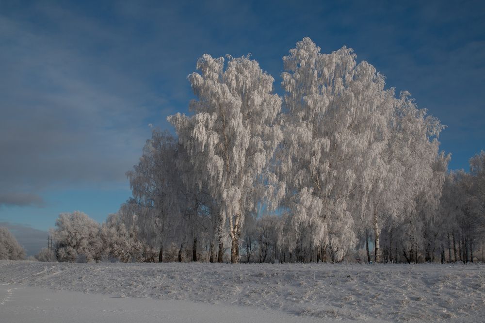 Фотография автора Марина Вишнякова