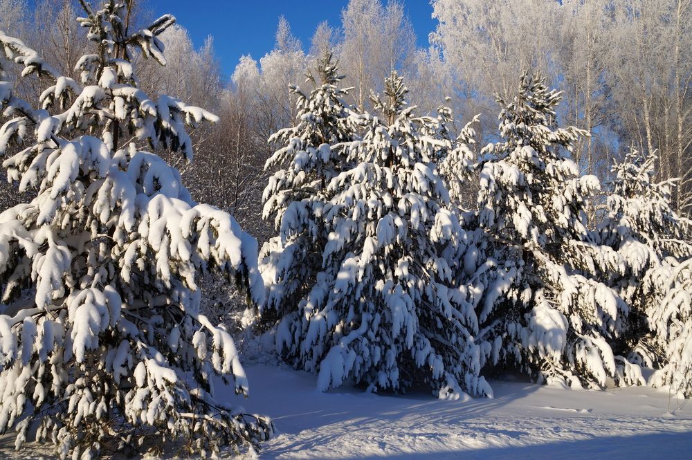 Photograph by Галина Кан