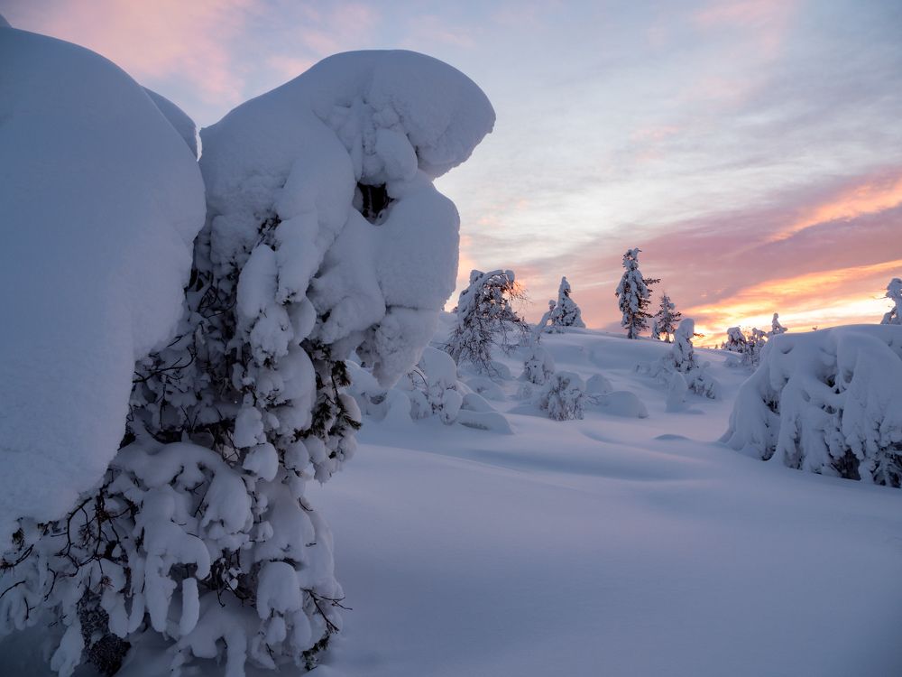 Photograph by Шейко Анна