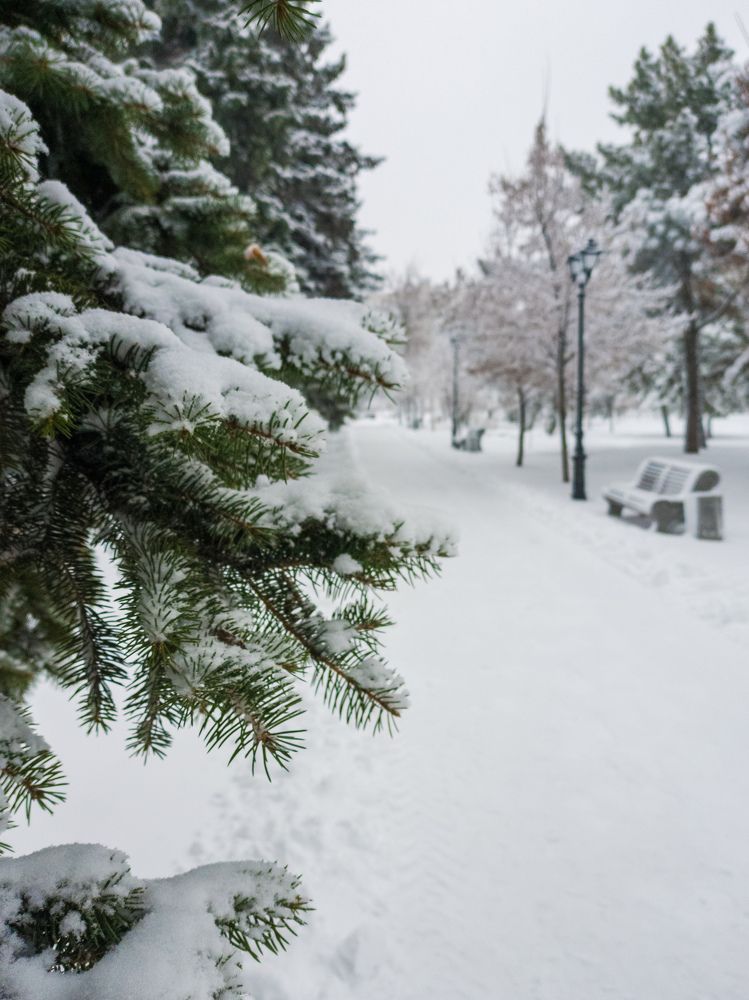 Photograph by Надежда Дойбан