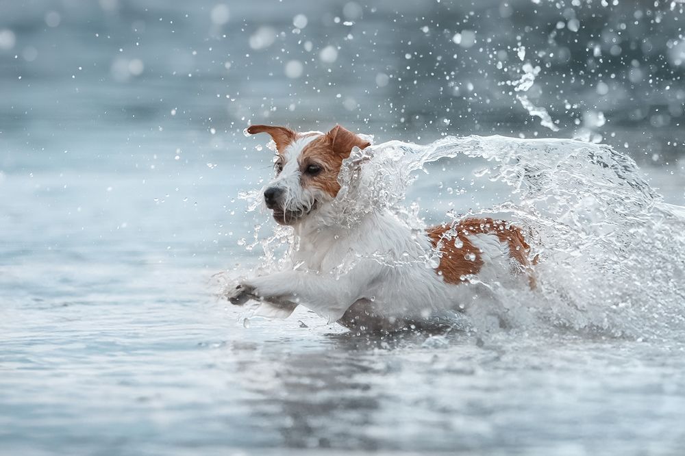 Photograph by Ольга Легенькая