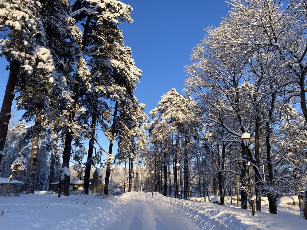 Фотография автора Анна Могилева