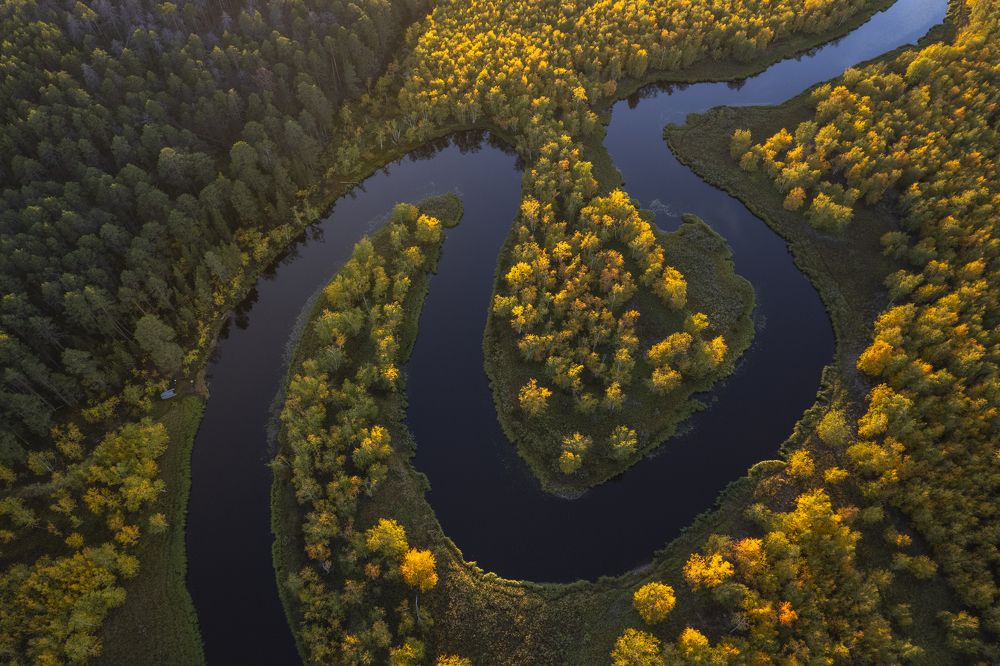 Photograph by Татьяна Борисова