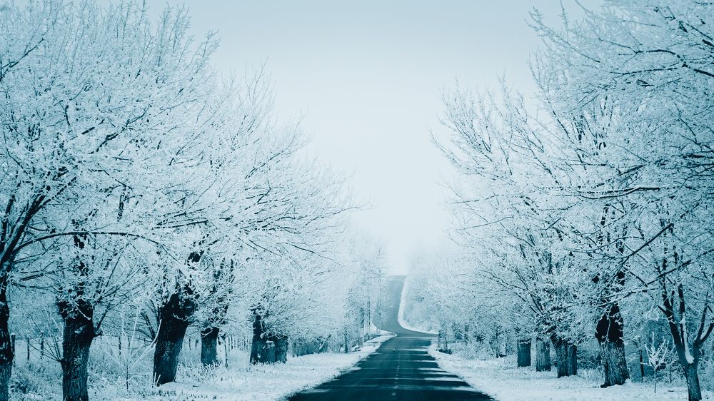 The road to winter!