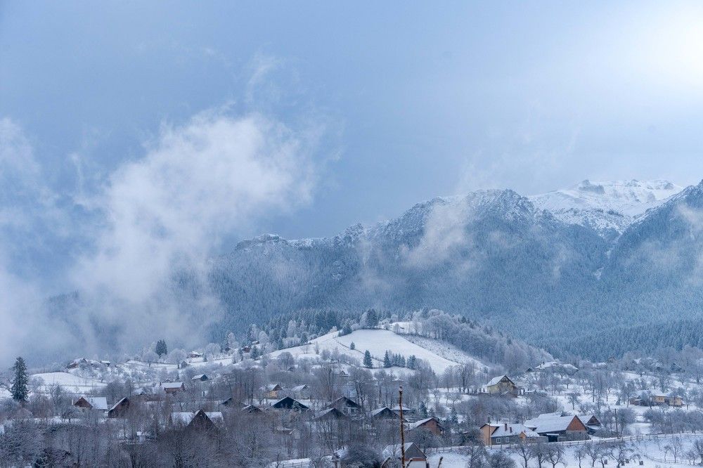 Фотография автора Ирина Зайцева
