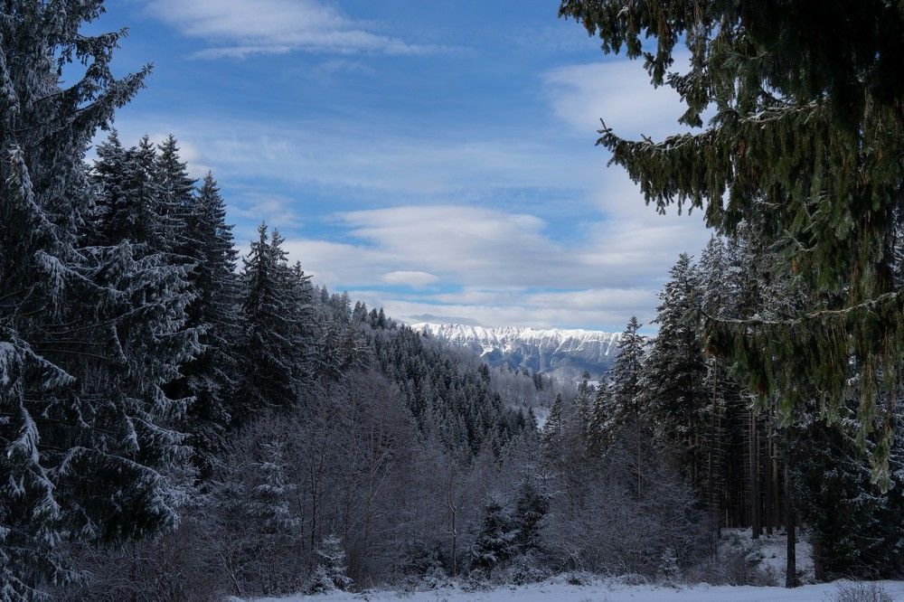 Фотография автора Ирина Зайцева