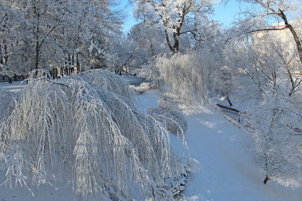 Photograph by Galina Tsmyg