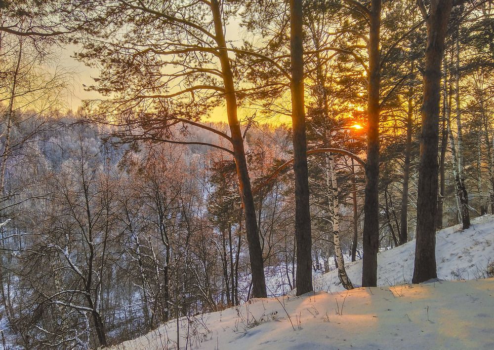 Photograph by Сергей