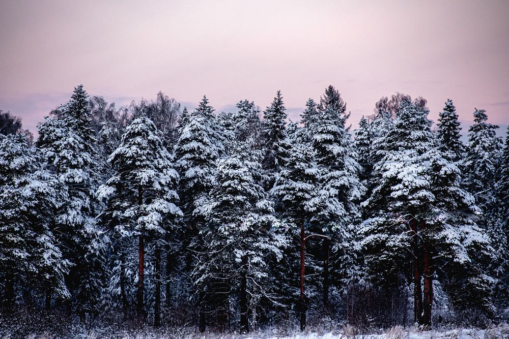 Photograph by Алексей Фурман