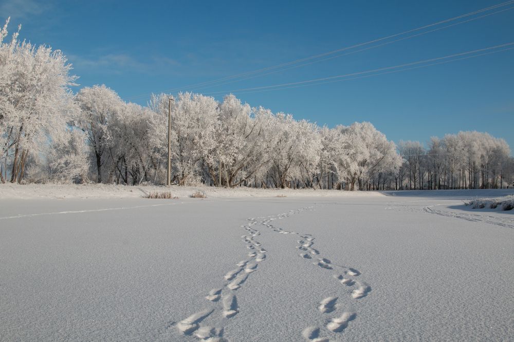 Фотография автора Марина Вишнякова