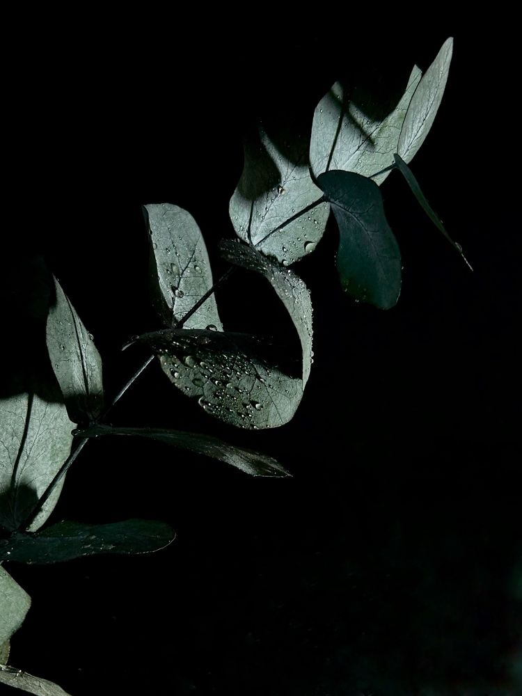 Photograph by Женя Алексеева