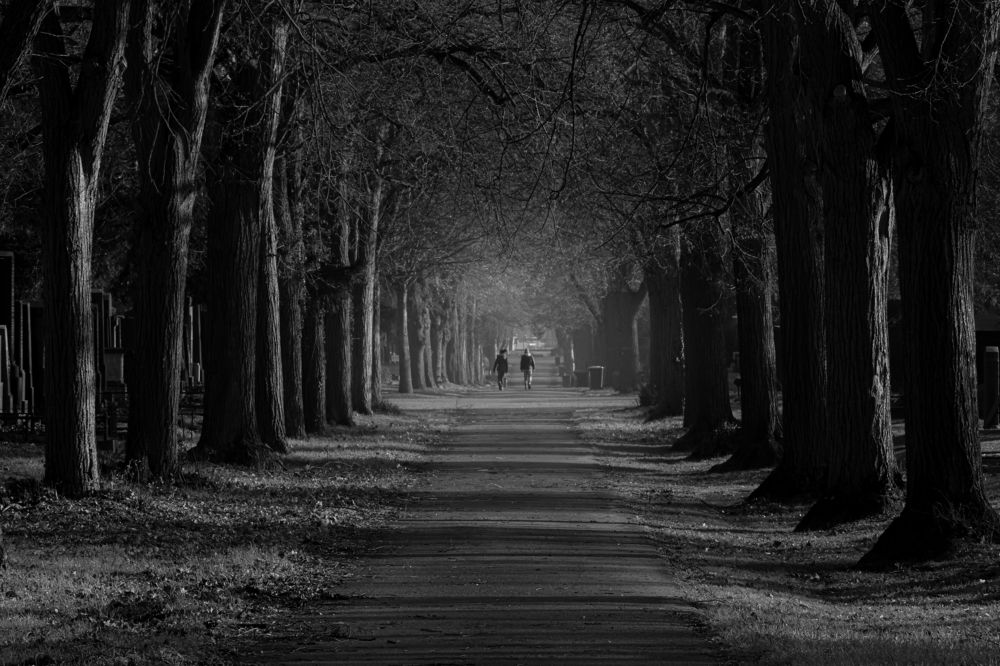 Photograph by Eva Wiedemann