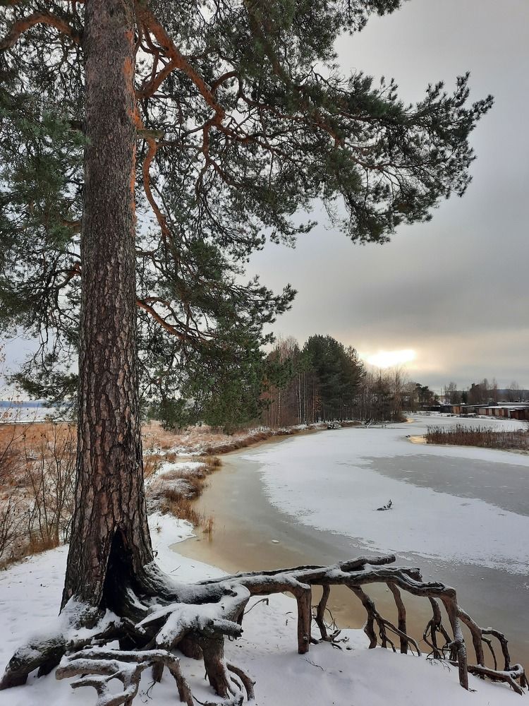 Photograph by Екатерина Мельникова