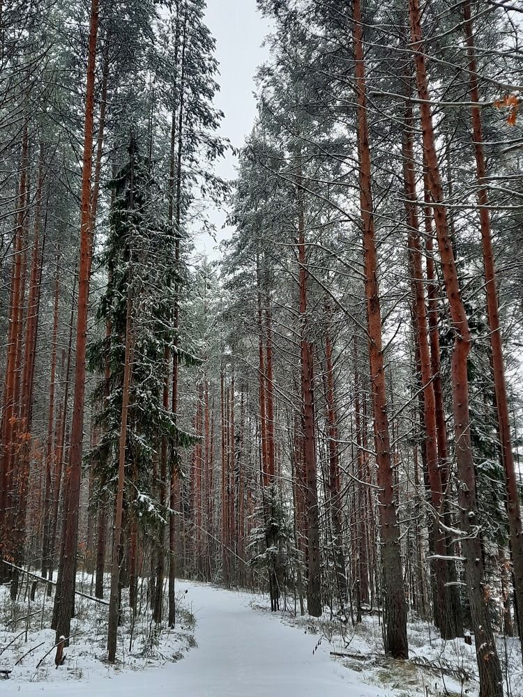 Photograph by Екатерина Мельникова