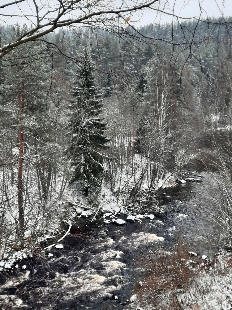 Photograph by Екатерина Мельникова