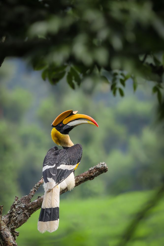 Photograph by TIJIN V S