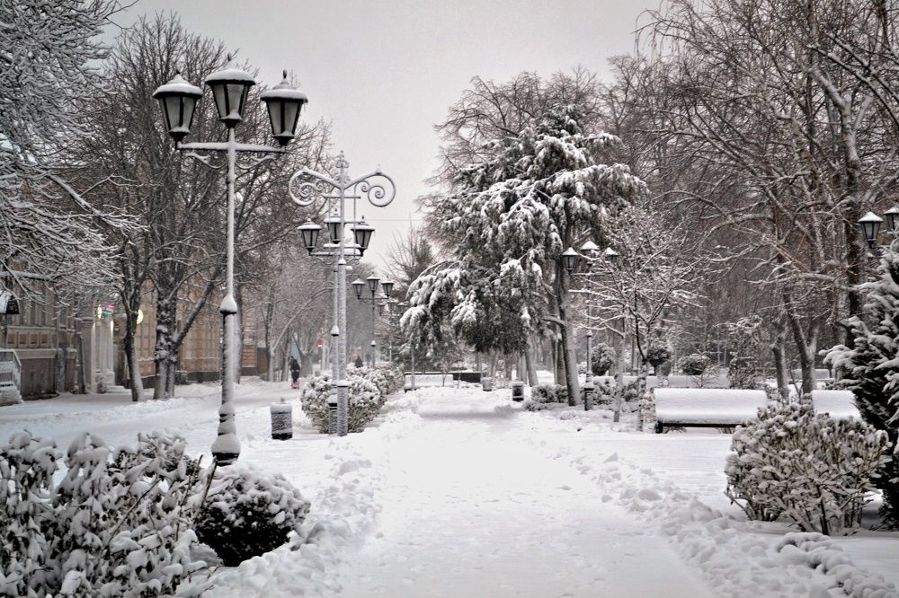 Photograph by Надежда Дойбан