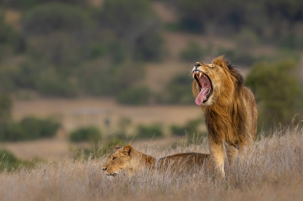 Photograph by Ricardo Ferreira