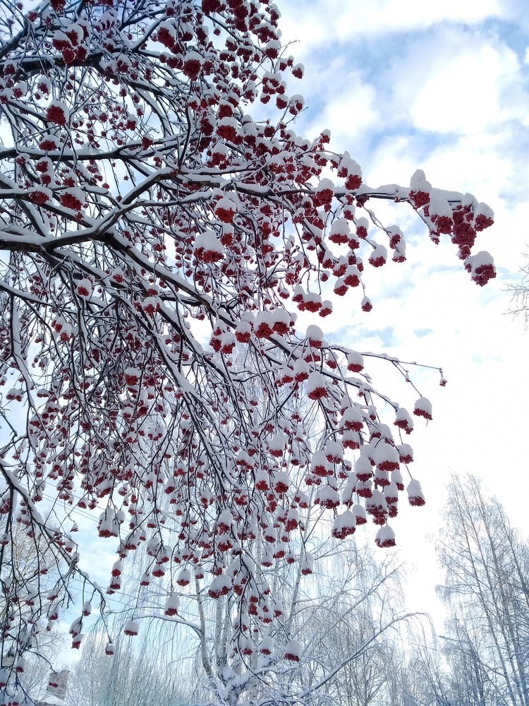 Photograph by Людмила Новосёлова