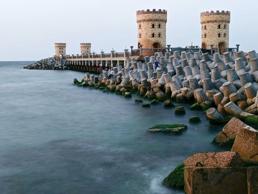 Фотография автора ebrahim omar