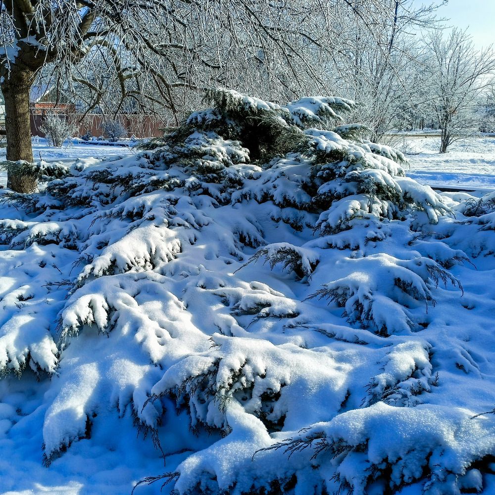 Photograph by Олег Башкуров