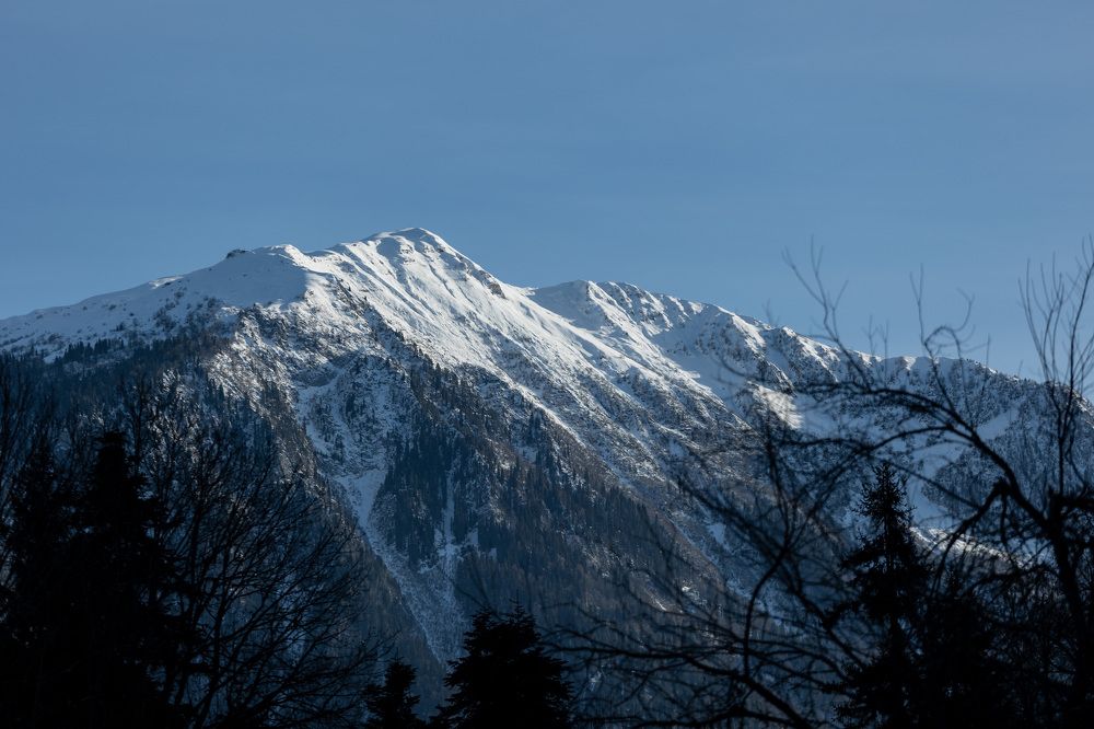 Фотография автора Fallen Angel