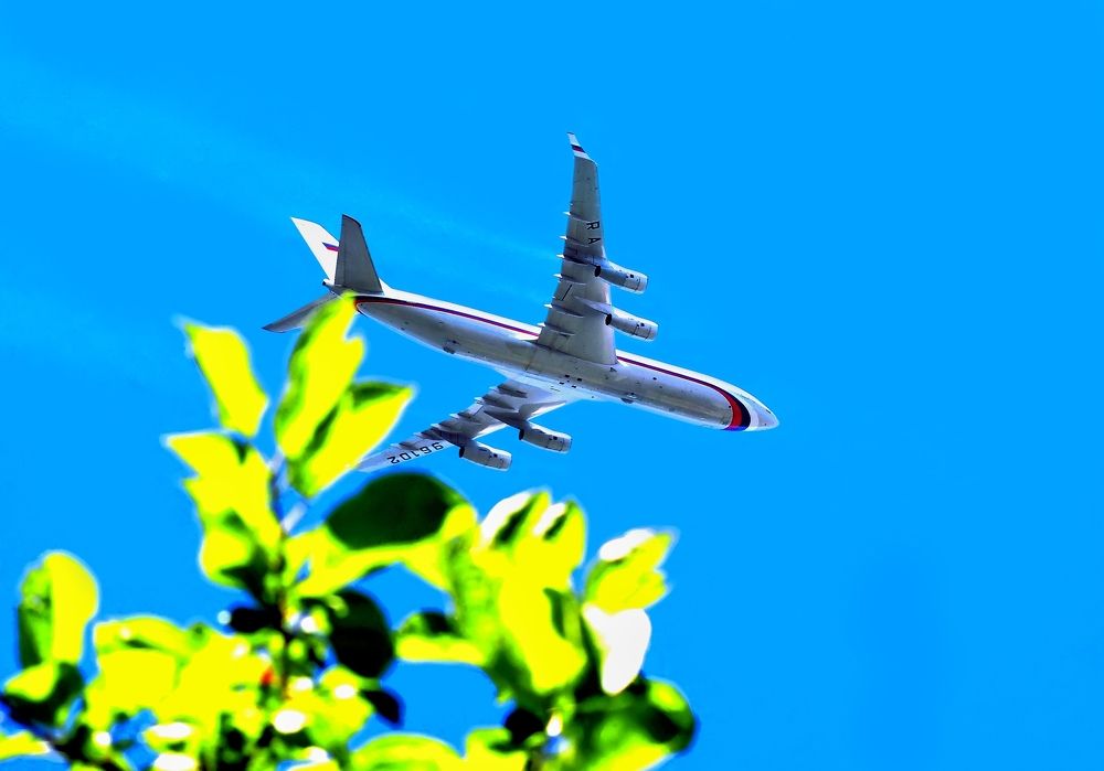 Photograph by Михаил Малец