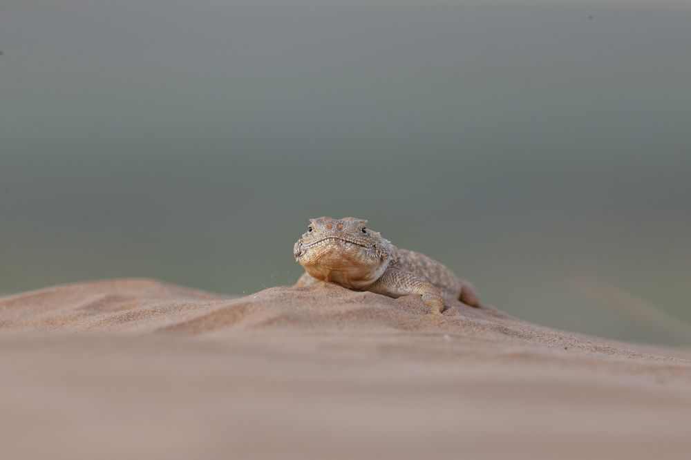 Photograph by Николай Абрамов