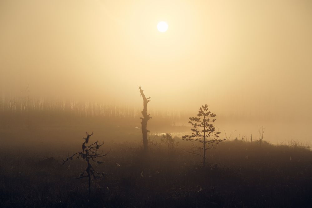 Photograph by Чаланов Иван