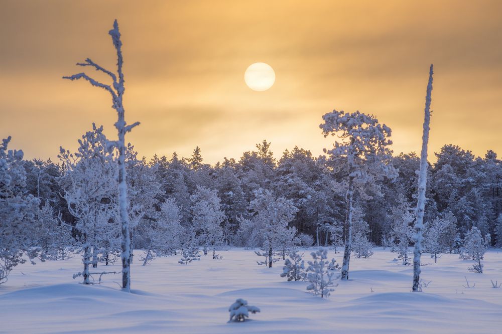 Photograph by Чаланов Иван