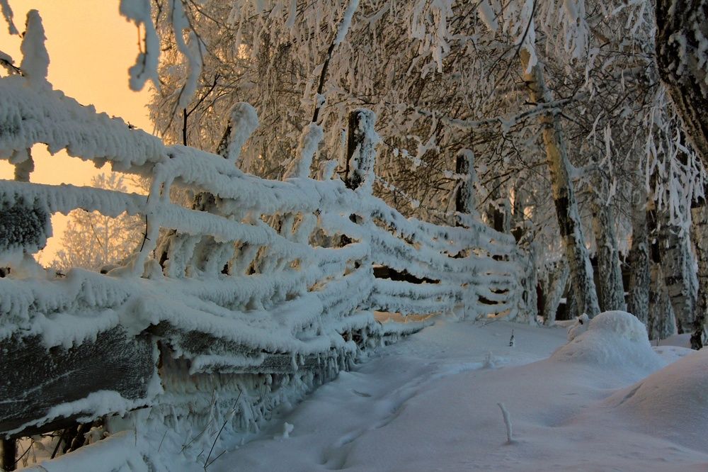 Photograph by Maxim Agafonov