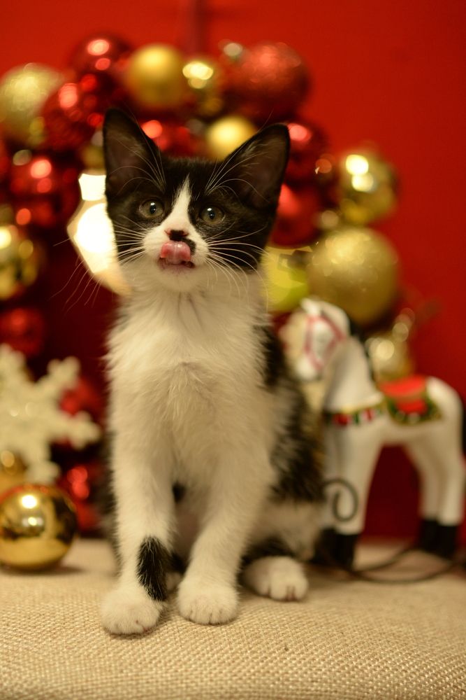 Photograph by Олеся Парфенова