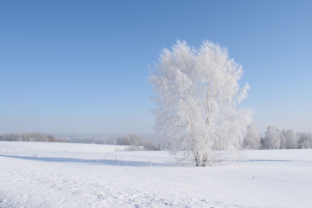 Photograph by Ирина Корнева