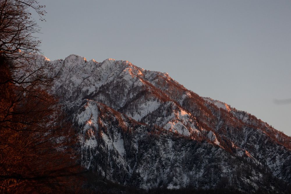 Фотография автора Fallen Angel