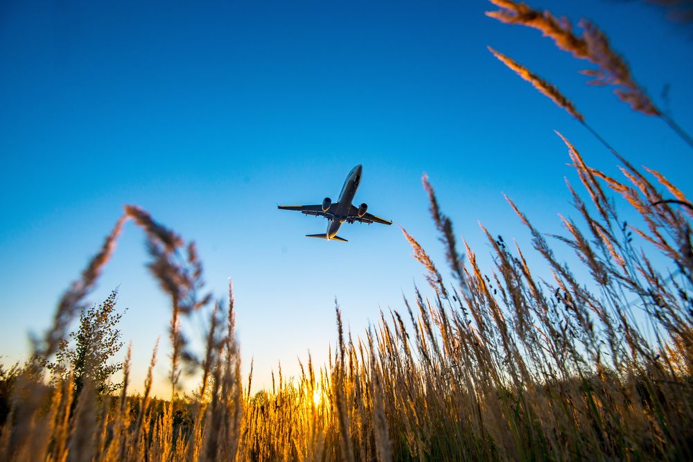 Photograph by Рина Ермакова