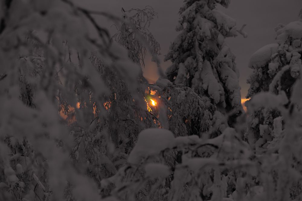 Photograph by Анастасия Сартакова